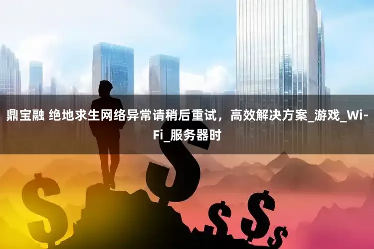 鼎宝融 绝地求生网络异常请稍后重试，高效解决方案_游戏_Wi-Fi_服务器时